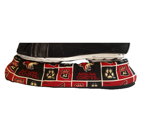 Arizona Coyotes